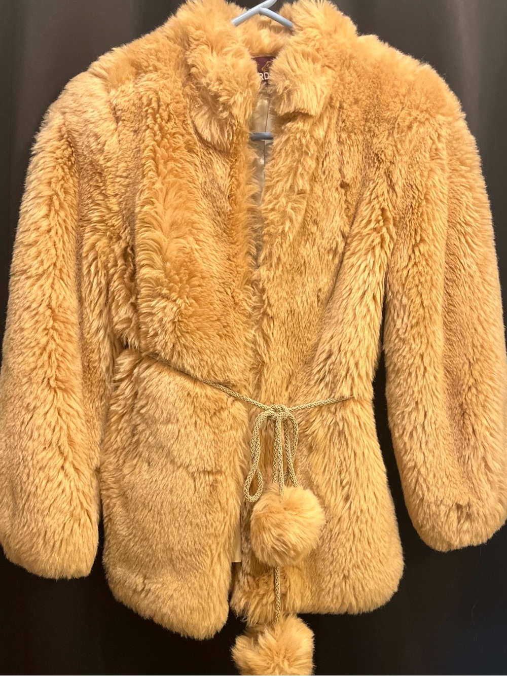 Jordache Plush Faux-Fur Teddy Jacket in Golden Tan
